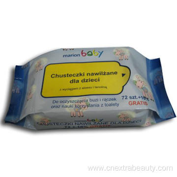 Eco Friendly Cleaning Multifunction Cleaning Wet Wipes